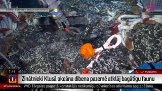 Zinātnieki Klusā okeāna dibenā atklāj bagātīgu faunu