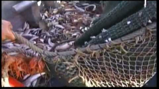 ES Zivsaimniecības komisāre pozitīvas pārmaiņas nesola