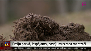 Preiļu parkā, iespējams, postījumus rada mantrači