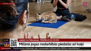 Milānā jogas nodarbībās piedalās arī kaķi