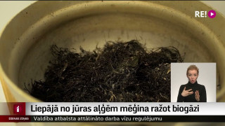 Liepājā no jūras aļģēm mēģina ražot biogāzi