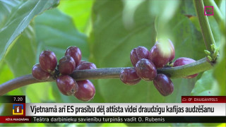 Vjetnamā arī ES prasību dēļ attīsta videi draudzīgu kafijas audzēšanu