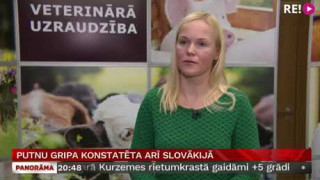 Putnu gripa konstatēta arī Slovākijā