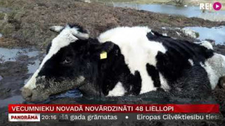 Vecumnieku novadā novārdzināti 48 liellopi