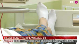 Cilmes šūnu transplantācijai 20