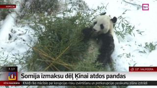 Somija izmaksu dēļ Ķīnai atdos pandas