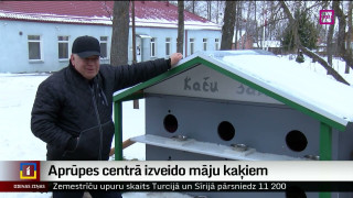 Aprūpes centrā izveido māju kaķiem