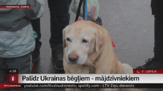 Palīdz Ukrainas bēgļiem - mājdzīvniekiem
