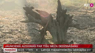 Jaunciemā aizdomas par tīšu meža dedzināšanu