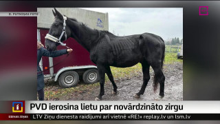PVD ierosina lietu par novārdzināto zirgu