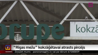 "Rīgas mežu" kokzāģētavai atrasts pircējs