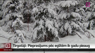 Tirgotāji: Pieprasījums pēc eglītēm ik gadu pieaug