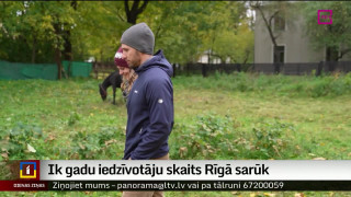 Ik gadu iedzīvotāju skaits Rīgā sarūk