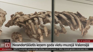 Neandertālietis ieņem goda vietu muzejā Valensijā