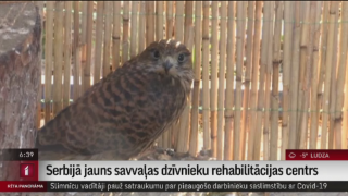 Serbijā jauns savvaļas dzīvnieku rehabilitācijas centrs