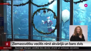 Ziemassvētku vecītis nirst akvārijā un baro zivis