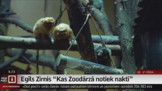 Egīla Zirņa dzejoļi grāmatā "Kas Zoodārzā notiek naktī"