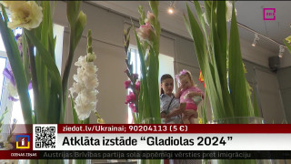 Atklāta izstāde "Gladiolas 2024"