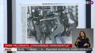 Harri Pelviranta "Vardarbības horeogrāfija"