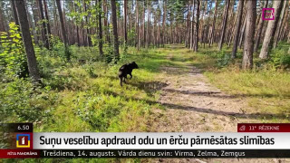 Suņu veselību apdraud odu un ērču pārnēsātas slimības