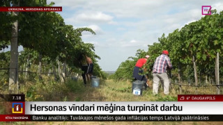 Hersonas vīndari mēģina turpināt darbu