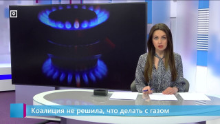 Коалиция не решила, что делать с газом