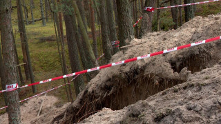 Kā beigusies suņa atrakšanas akcija - mežam, kāpai, sunim un āpsim?