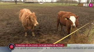 Помощь из-за COVID-19 поделили нечестно