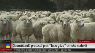 Jaunzēlandē protestē pret "lopu gāzu" izmešu nodokli