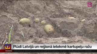 Plūdi Latvijā un reģionā ietekmē kartupeļu ražu