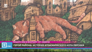 Герой района. История Агенскалнского кота Персика