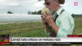 Latvijā laba arbūzu un meloņu raža