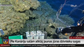 Pie Kanāriju salām atklāj jaunas jūras dzīvnieku sugas