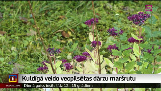 Kuldīgā veido vecpilsētas dārzu maršrutu