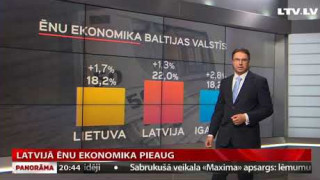 Latvijā ēnu ekonomika pieaug