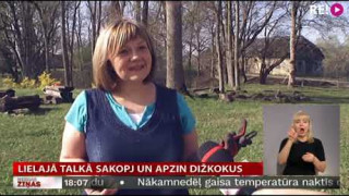 Lielajā talkā sakopj un apzin dižkokus