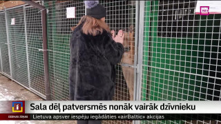 Sala dēļ patversmēs nonāk vairāk dzīvnieku