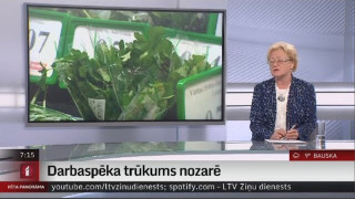Intervija ar Latvijas Pārtikas uzņēmumu federācijas vadītāju Ināru Šuri