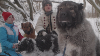 Turēts īsā ķēdē Maskavas piepilsētā, novārdzis un nemīlēts, suns Diničs piedzīvo neticamu izglābšanas stāstu!