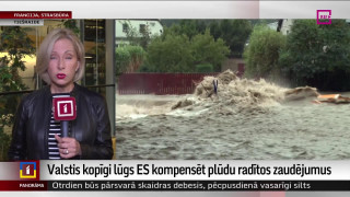 Valstis kopīgi lūgs ES kompensēt plūdu radītos zaudējumus