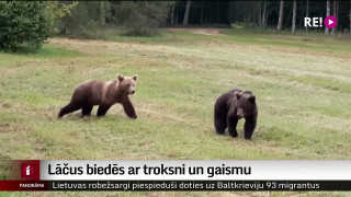 Lāčus biedēs ar troksni un gaismu