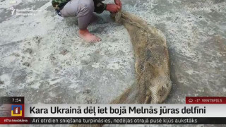 Kara Ukrainā dēļ iet bojā Melnās jūras delfīni