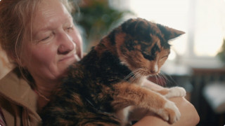 Vai atrasts vecākais kaķis Latvijā? – Kitija no Tinģeres nosvin 21 dzimšanas dienu!