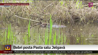 Bebri posta Pasta salu Jelgavā