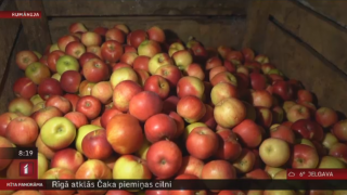 Rumānijā šogad ļoti daudz ābolu