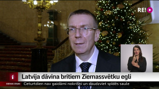 Latvija dāvina britiem Ziemassvētku egli