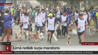 Limā notiek suņu maratons