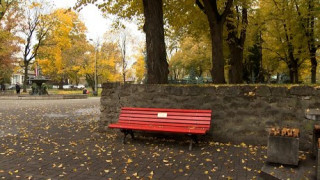 Īpaši soliņi Rīgas parkos - privātas dāvanas vai savdabīgi pieminekļi?