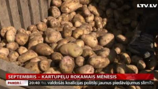 Septembris – kartupeļu rokamais mēnesis