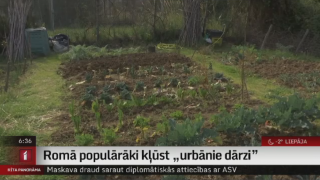 Romā populārāki kļūst „urbānie dārzi”